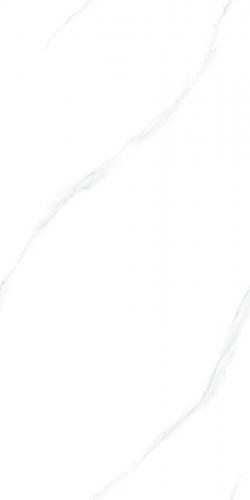J12Y01L