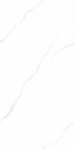 J12Y02L