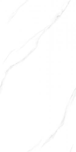 J12Y01L-2