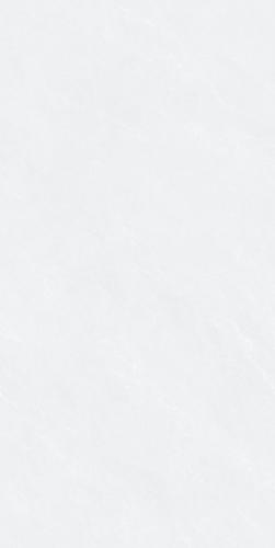 SG-J12208
