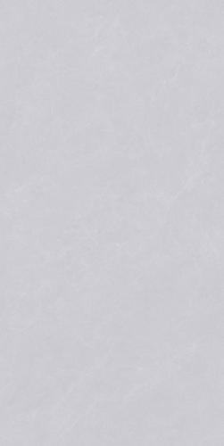 SG-J12209